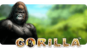 Gorilla™