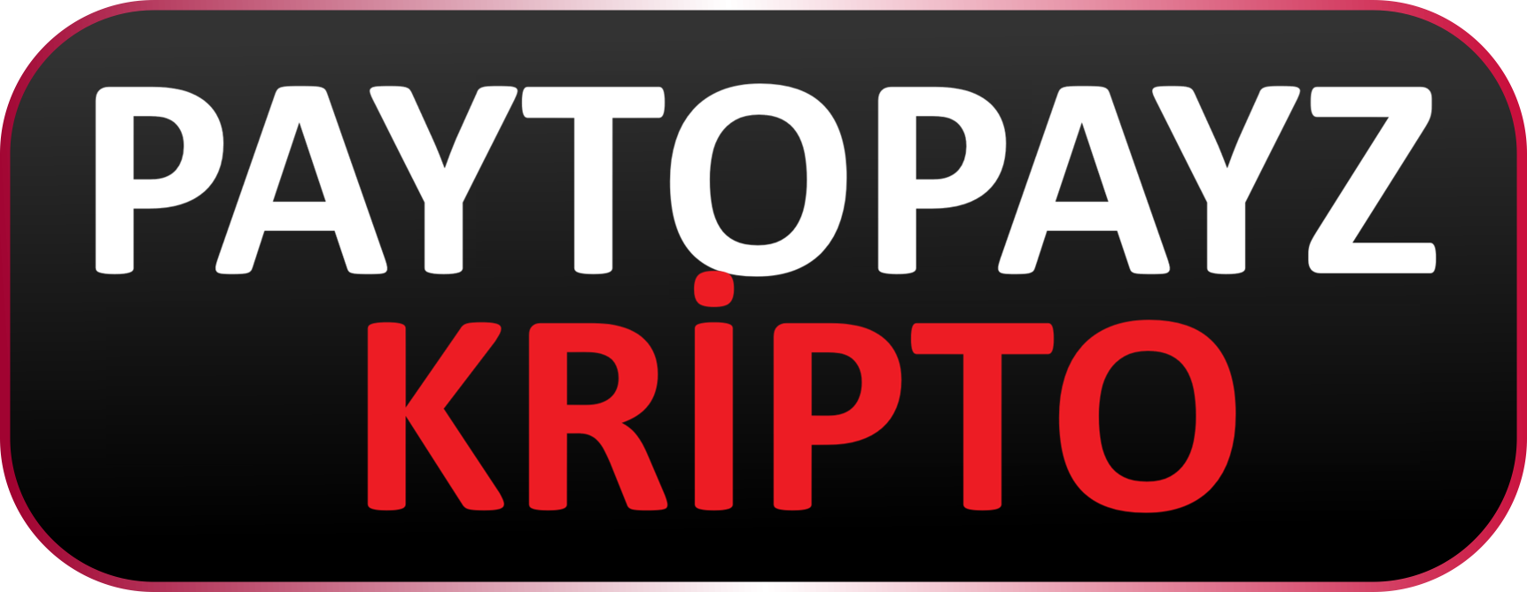 PAYTOPAYZ KRİPTO
